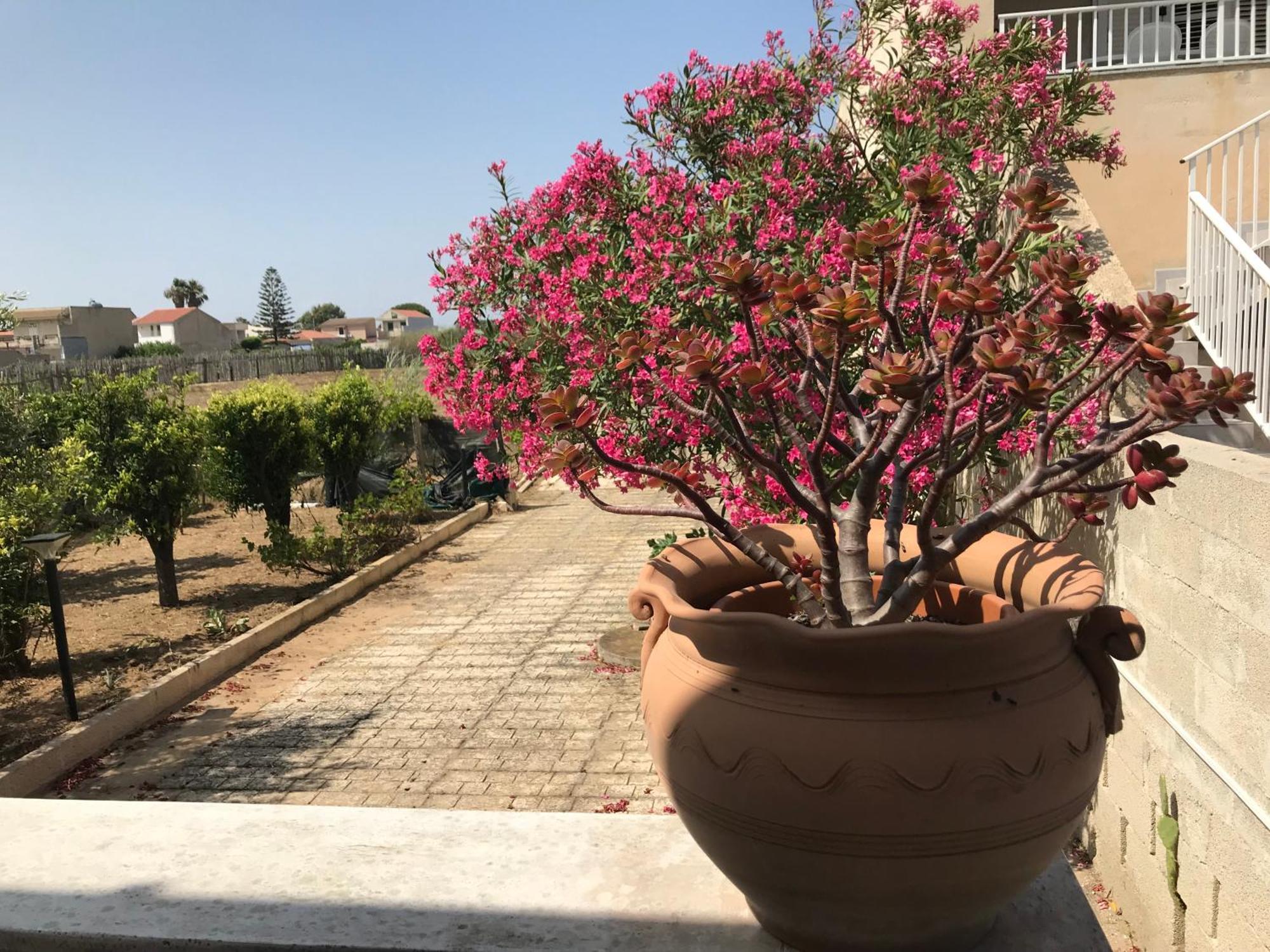 Villa Villino Oleandro à Santa Maria Del Focallo Extérieur photo
